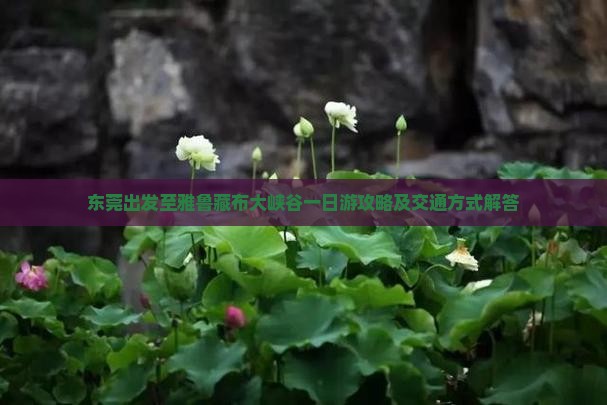 东莞出发至雅鲁藏布大峡谷一日游攻略及交通方式解答