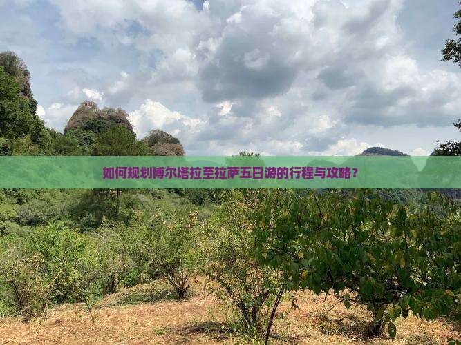 如何规划博尔塔拉至拉萨五日游的行程与攻略？