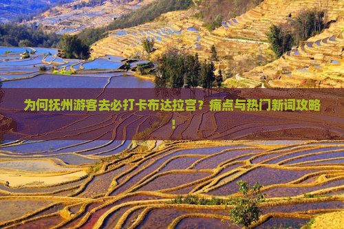 为何抚州游客去必打卡布达拉宫？痛点与热门新词攻略！