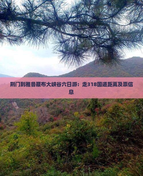 荆门到雅鲁藏布大峡谷六日游：走318国道距离及票信息