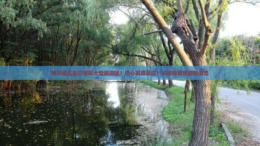 博尔塔拉去日喀则大型旅游团？担心高原反应？试试低氧旅游新潮流