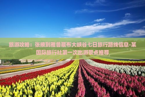 旅游攻略：张掖到雅鲁藏布大峡谷七日旅行路线信息-某国际旅行社第一次出游景点推荐