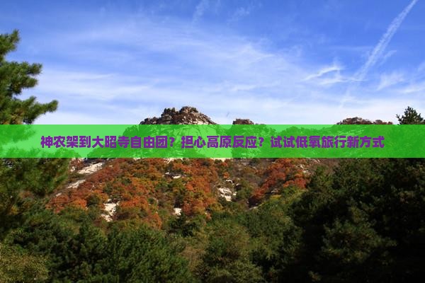 神农架到大昭寺自由团？担心高原反应？试试低氧旅行新方式