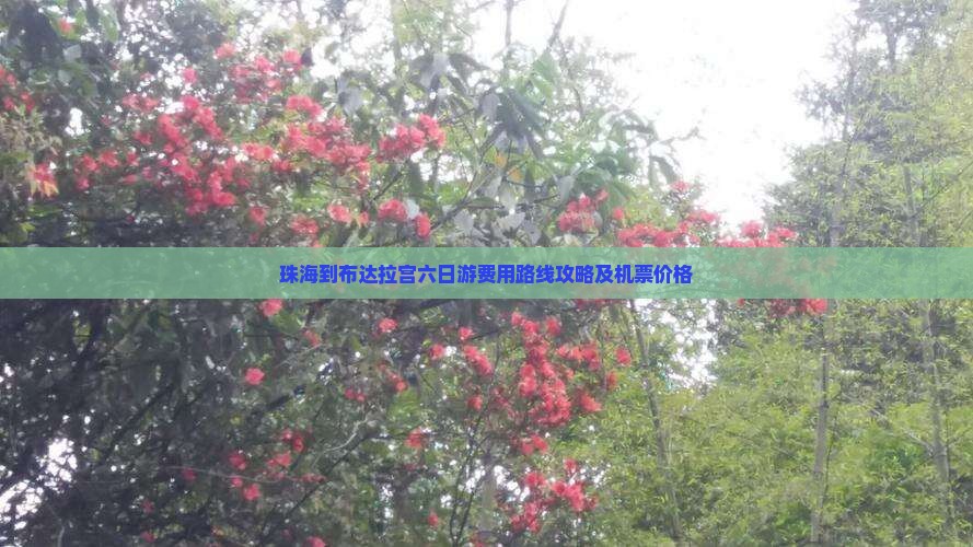 珠海到布达拉宫六日游费用路线攻略及机票价格