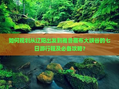 如何规划从辽阳出发到雅鲁藏布大峡谷的七日游行程及必备攻略？