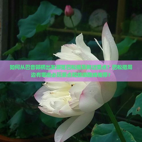 如何从巴音郭楞出发游览巴松措及附近景点？巴松措周边有哪些必玩景点和旅游路线推荐？
