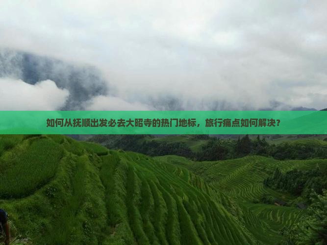 如何从抚顺出发必去大昭寺的热门地标，旅行痛点如何解决？