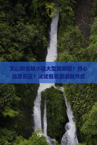 文山到鲁朗小镇大型旅游团？担心高原反应？试试低氧旅游新方式