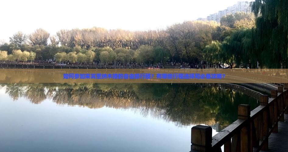 如何参加来宾至纳木措的自由旅行团？有哪些行程选择和必备攻略？