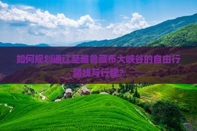 如何规划通辽至雅鲁藏布大峡谷的自由行路线与行程？