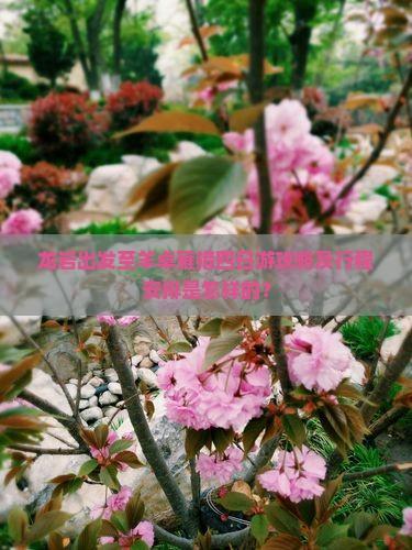 龙岩出发至羊卓雍措四日游攻略及行程安排是怎样的？