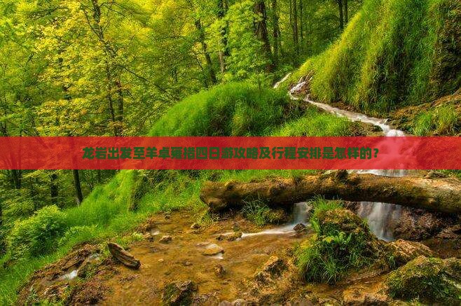 龙岩出发至羊卓雍措四日游攻略及行程安排是怎样的？