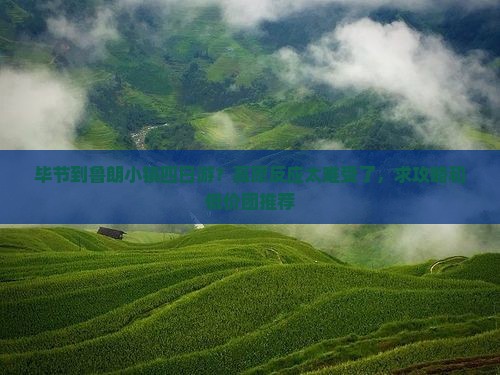 毕节到鲁朗小镇四日游？高原反应太难受了，求攻略和低价团推荐