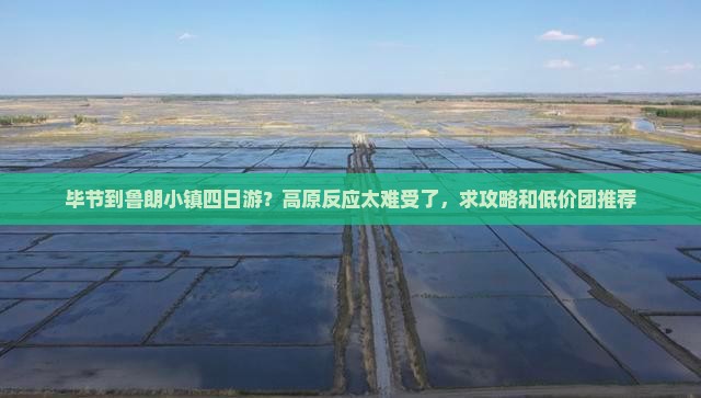 毕节到鲁朗小镇四日游？高原反应太难受了，求攻略和低价团推荐