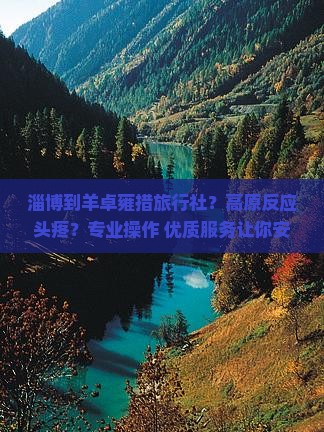 淄博到羊卓雍措旅行社？高原反应头疼？专业操作+优质服务让你安心游