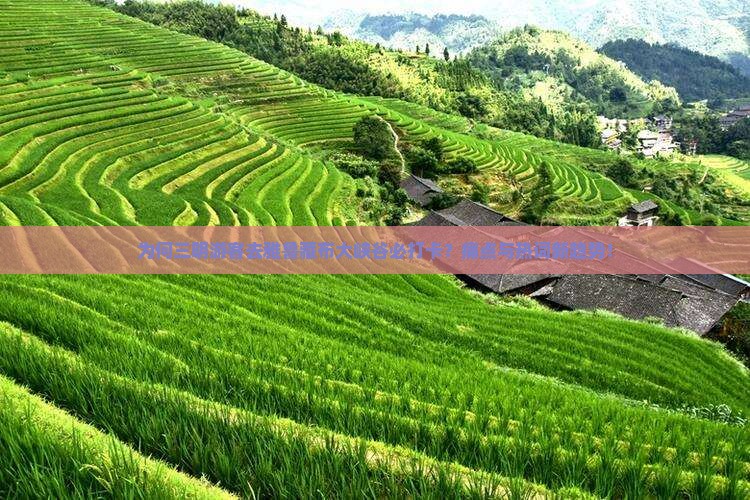 为何三明游客去雅鲁藏布大峡谷必打卡？痛点与热词新趋势！