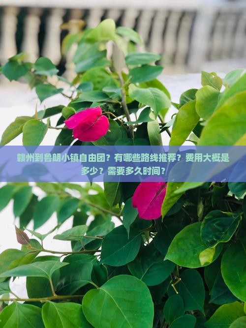 赣州到鲁朗小镇自由团？有哪些路线推荐？费用大概是多少？需要多久时间？