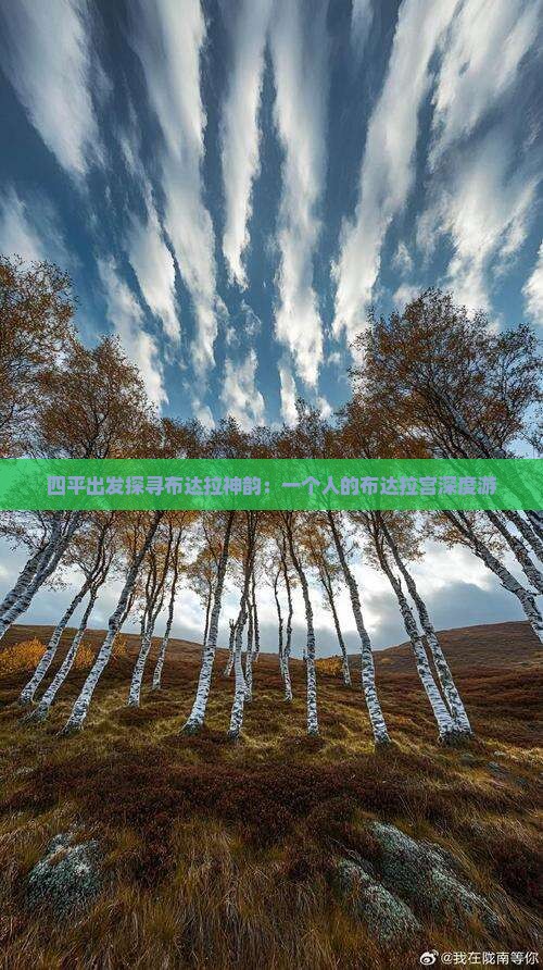 四平出发探寻布达拉神韵：一个人的布达拉宫深度游