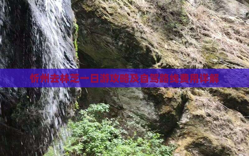 忻州去林芝一日游攻略及自驾路线费用详解
