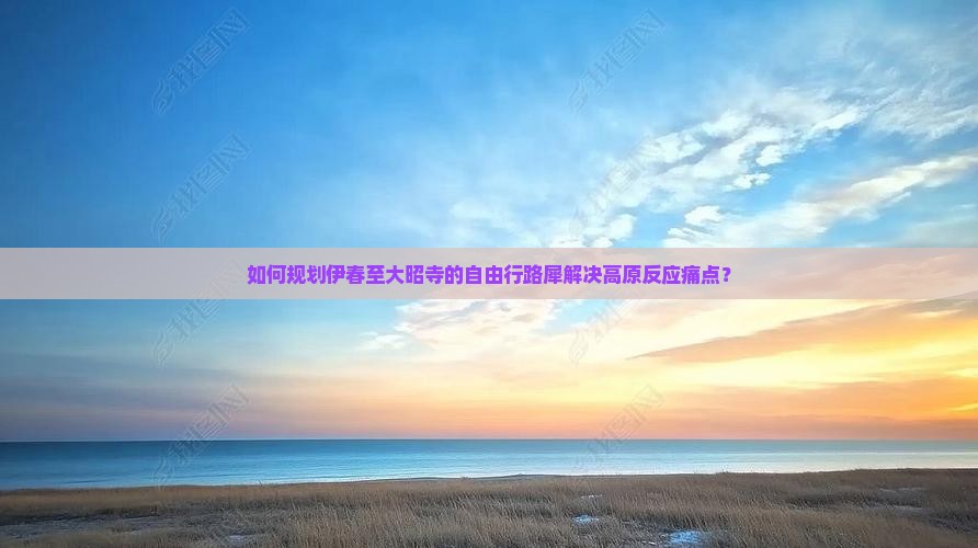 如何规划伊春至大昭寺的自由行路犀解决高原反应痛点？