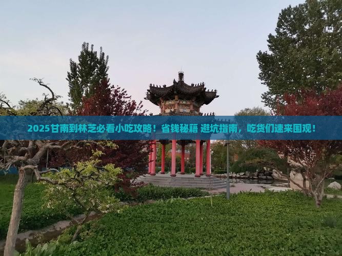 甘南到西藏林芝旅游小吃