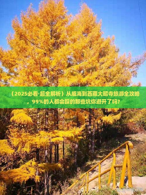 威海去西藏大昭寺必去地