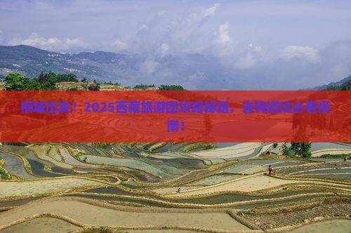 桐城去西藏大型旅游团