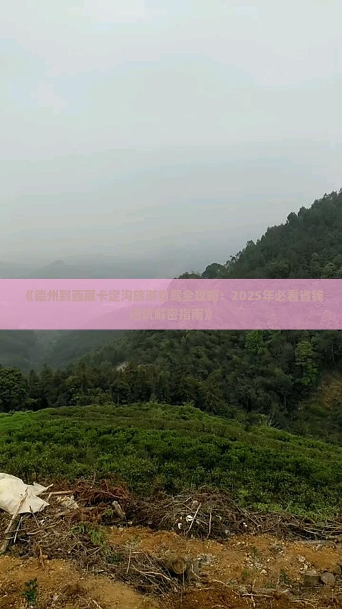 德州到西藏卡定沟自由行