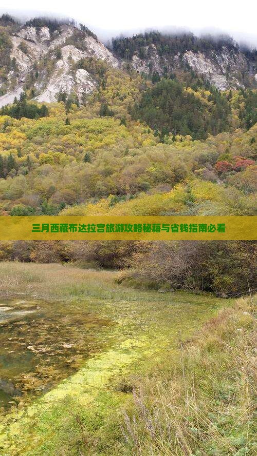 三月到西藏布达拉宫自由团