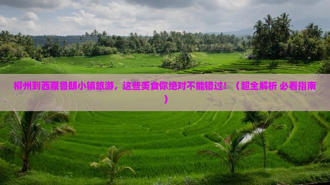 柳州去西藏鲁朗小镇旅游小吃