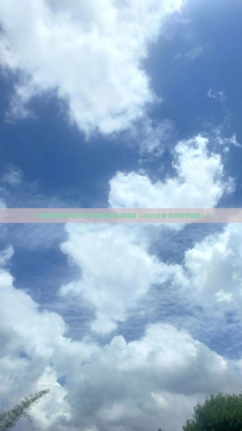 海西去西藏林芝五日游