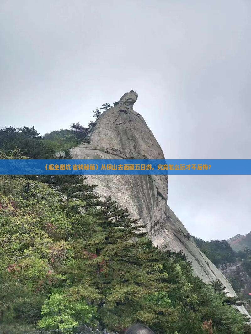 保山去西藏五日游