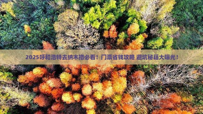 呼和浩特到西藏纳木措门票