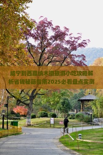 咸宁到西藏纳木措旅游小吃