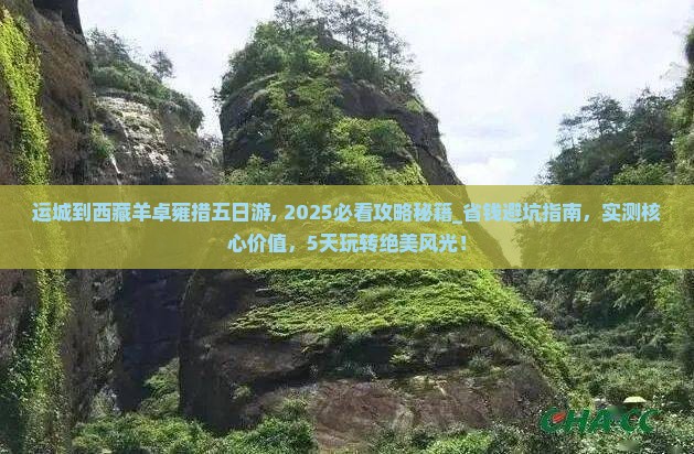 运城到西藏羊卓雍措五日游