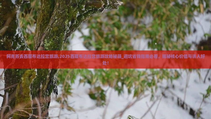 阿克苏去西藏布达拉宫旅游