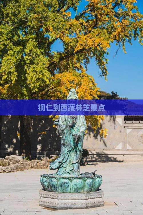 铜仁到西藏林芝景点