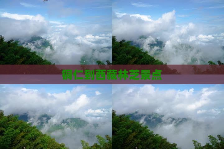 铜仁到西藏林芝景点