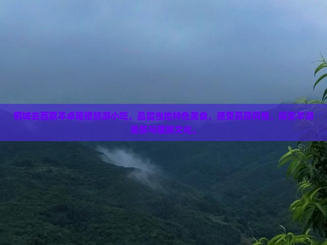 桐城去西藏羊卓雍措旅游小吃
