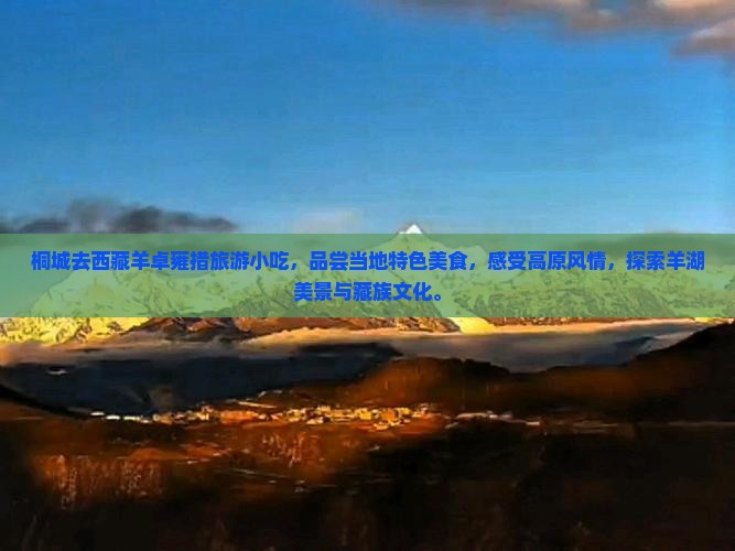 桐城去西藏羊卓雍措旅游小吃