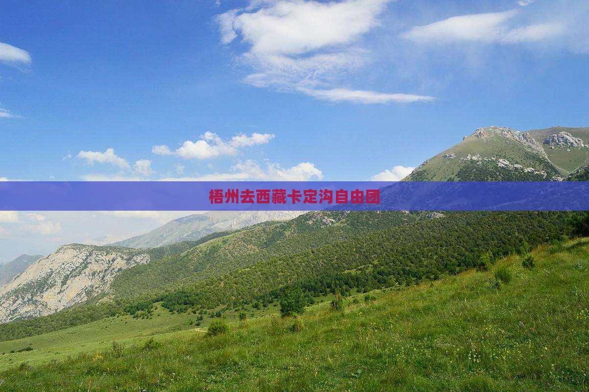 梧州去西藏卡定沟自由团