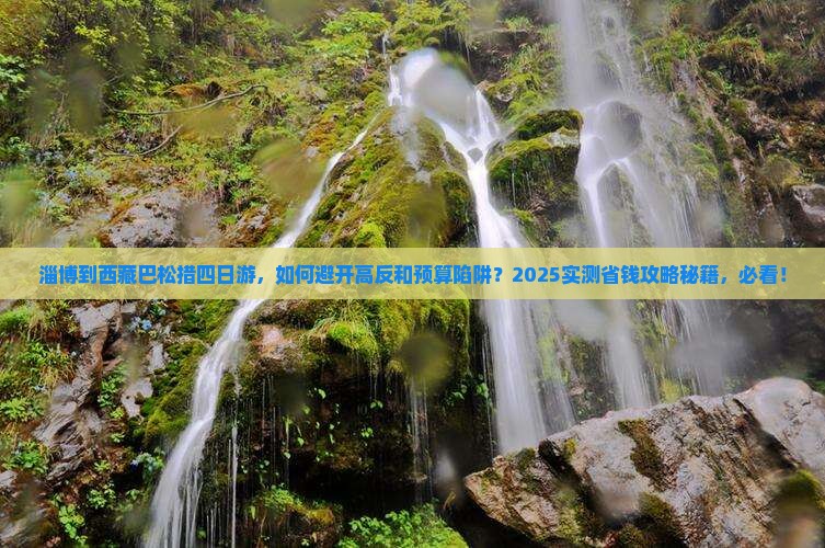 淄博到西藏巴松措四日游