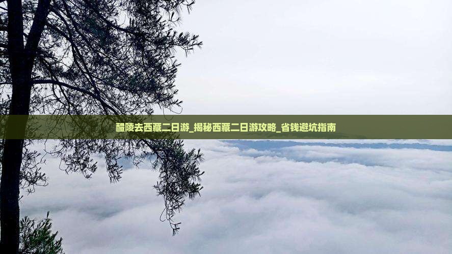 醴陵去西藏二日游