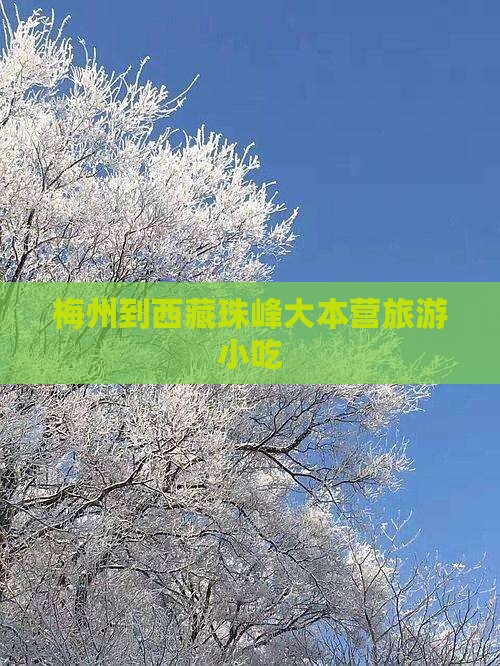 梅州到西藏珠峰大本营旅游小吃