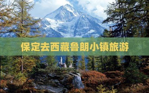 保定去西藏鲁朗小镇旅游