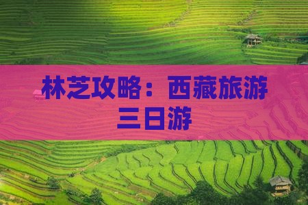 劳动节去西藏林芝三日游