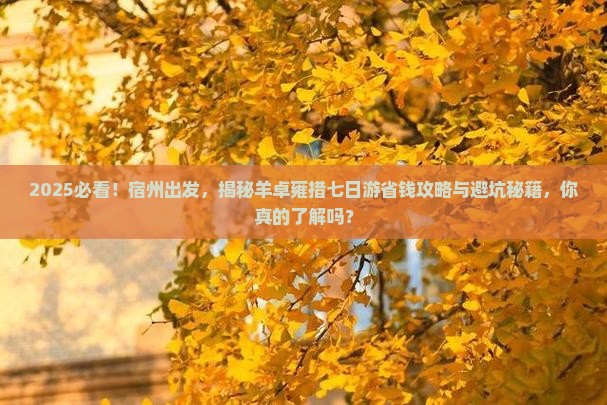 宿州到西藏羊卓雍措七日游