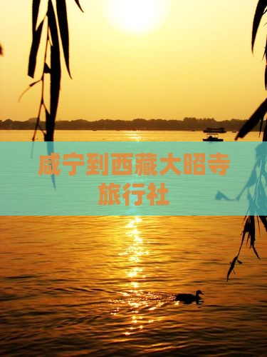 咸宁到西藏大昭寺旅行社