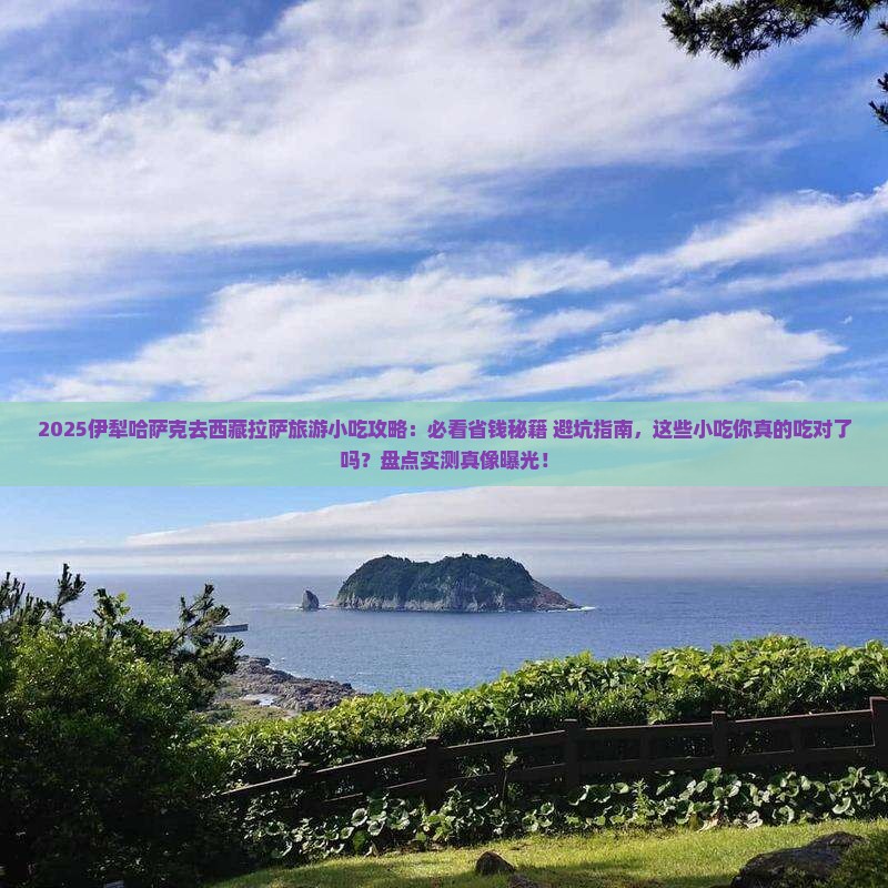 伊犁哈萨克去西藏拉萨旅游小吃