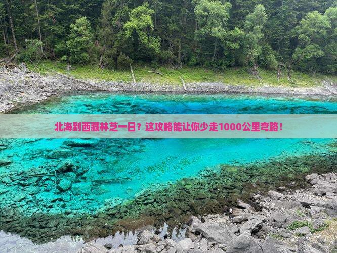 北海到西藏林芝一日